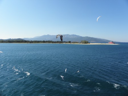 Pohľad na grécku pevninu a čajky, ktoré nás odprevádzali na ostrov Thassos